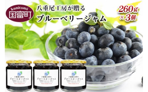 八重尾工房が贈る＜ブルーベリージャム 260g×3個＞翌月末迄に順次出荷