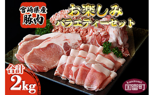 ＜宮崎県産豚肉 《お楽しみ》バラエティーセット 合計2.0kg＞【 肉 豚 豚肉 セット 詰め合わせ 国産 ぶた ブタ スライス ロース 小間 小間切れ こまぎれ 料理 豚肉料理 とんかつ トンカツ 2kg ミンチ 挽肉 】翌月末迄に順次出荷