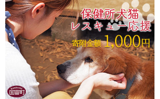 <保健所犬猫レスキュー【返礼品なしのご寄附】>【 動物愛護 愛護活動 保護 犬 猫 いぬ ねこ イヌ ネコ 動物 どうぶつ ペット 応援 支援 寄付 使い道 寄附のみ いのちのはうす保護家 】