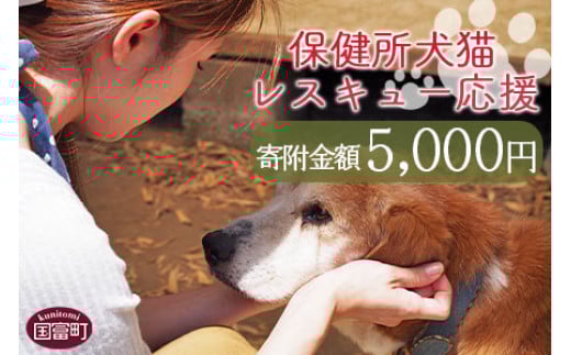 ＜保健所犬猫レスキュー【返礼品なしのご寄附】＞寄付金額5,000円※お礼状をお送りいたします。【 動物愛護 保護 犬 猫 いぬ ねこ イヌ ネコ 動物 どうぶつ ペット 応援 支援 寄付 使い道 寄附のみ いのちのはうす保護家 】