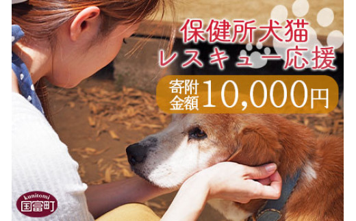＜保健所犬猫レスキュー【返礼品なしのご寄附】＞寄付金額10,000円※お礼状をお送りいたします。【 動物愛護 保護 犬 猫 いぬ ねこ イヌ ネコ 動物 どうぶつ ペット 応援 支援 寄付 使い道 寄附のみ いのちのはうす保護家 】