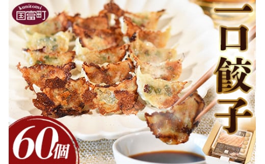 [一口餃子 60個入り]翌月末迄に順次出荷[ 餃子 ぎょうざ ギョウザ ギョーザ 宮崎餃子 宮崎 一口餃子 大明神 鶏肉 豚肉 野菜 居酒屋 おつまみ 晩御飯 お供 ビール 焼酎 ハイボール だれやめ 弁当 冷凍 白菜 ギフト 贈答用 ]