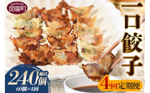 [4回定期便 一口餃子 60個入り(3か月に1回発送)]翌月末迄に順次出荷[ 餃子 ぎょうざ ギョウザ ギョーザ 宮崎餃子 宮崎 一口餃子 大明神 鶏肉 豚肉 野菜 居酒屋 おつまみ 晩御飯 お供 ビール 焼酎 ハイボール だれやめ 弁当 冷凍 白菜 定期便 ]