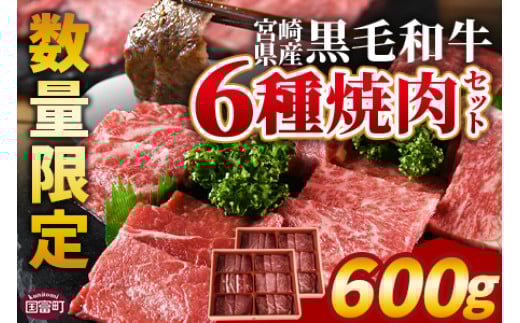＜宮崎県産黒毛和牛(経産)6種焼肉セット 600g＞入金確認後、1～3か月以内に順次出荷【 国産 黒毛和牛 牛肉 牛 精肉 焼き肉 焼肉 サーロイン リブロース 肩ロース ウデ モモ バラ 贈答品 ギフト 贈り物 グルメ ミヤチク 宮崎県 国富町 】