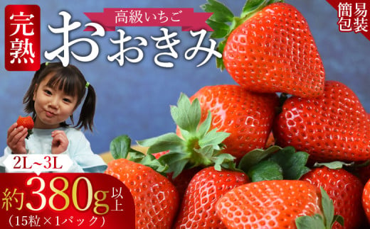 [高級いちご 「おおきみ」(15粒入り×1パック約380g以上)簡易包装][ いちご イチゴ 苺 先行予約 甘い 大きい 果物 フルーツ 季節物 ]2025年1月上旬から4月末迄に順次出荷