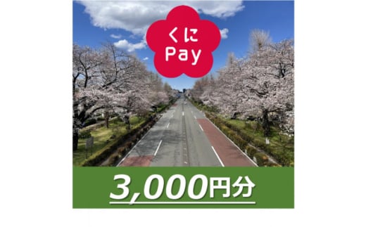 国立市デジタル地域通貨『くにPay』3,000ポイント【1582539】