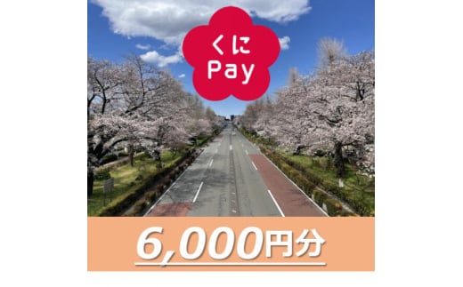国立市デジタル地域通貨『くにPay』6,000ポイント【1587148】