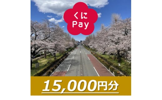 国立市デジタル地域通貨『くにPay』15,000ポイント【1587150】