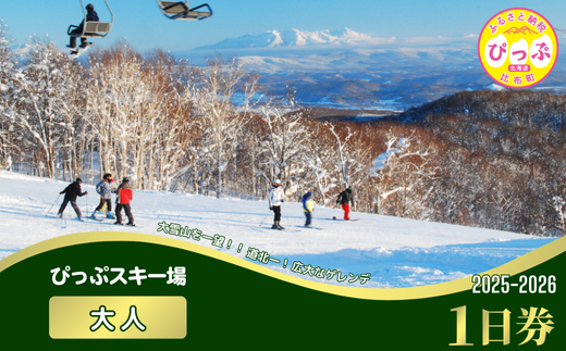 【2025～2026シーズン】ぴっぷスキー場 1日券【大人】1枚【比布町】スキー スノーボード スノボ 利用券 チケット 冬 北海道 比布町 ぴっぷ 1455-006