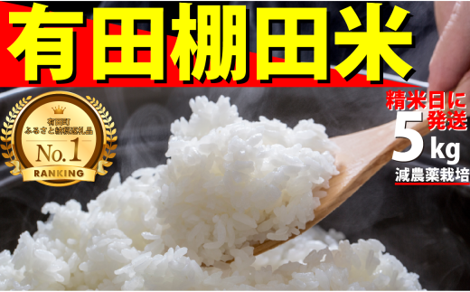 <予約受付>【10月下旬より順次発送】【数量限定】令和7年産 有田 棚田米 5kg 米【みゆきファーム】精米済 白米 5kg 減農薬 organic 棚田米 有田町 令和7年度産 新米 K17-1