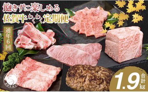 【偶数月にお届け!】佐賀牛 定期便 通年6回コース 牛肉 黒毛和牛 極上の佐賀牛 カルビ焼肉 ロースブロック バラスライス ロースステーキ しゃぶしゃぶ ハンバーグ 厳選 お肉 おにく ギフト プレゼント 贈り物 N120-13