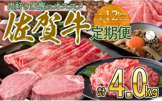 【定期便♪翌月から12ヶ月連続お届け☆】 佐賀牛定期便 12回コース 牛肉 しゃぶしゃぶ ローストビーフ カルビ ヒレステーキ ハンバーグ 切り落とし すき焼き 黒毛和牛 極上の佐賀牛 お肉 N240-5