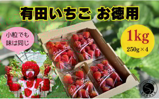 【2026年2月～順次発送】有田いちご 1kg お徳用いちご ちょっと小粒（2L～Mサイズ）250g×4パック 朝摘み完熟いちごを即日発送！【みゆきファーム】いちごさん F12-46