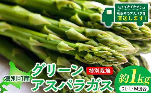 【先行受付】R8年産 アスパラガス 約1kg 特別栽培 細川農園 | 北海道津別町