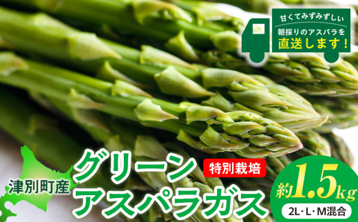 【先行受付】R8年産 アスパラガス 約1.5kg 特別栽培 細川農園 | 北海道津別町