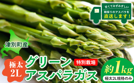 【先行受付】R8年産 アスパラガス (極太2L) 特別栽培 約1kg 細川農園 | 北海道津別町