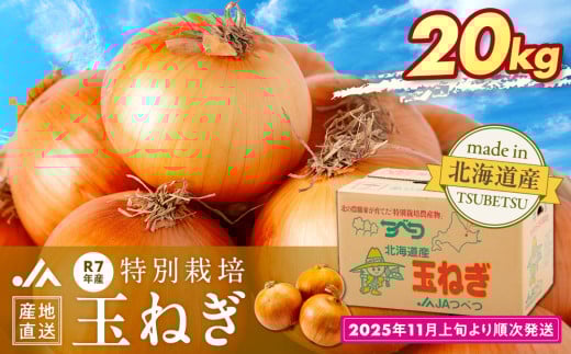 R7年産先行受付 玉ねぎ 20kg 特別栽培 | 北海道津別町