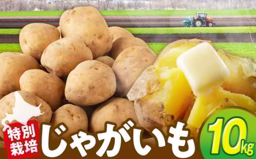 R7年産先行受付 じゃがいも 10kg 特別栽培(男爵) | 北海道津別町