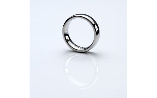 EVERING（エブリング） (SILVER)