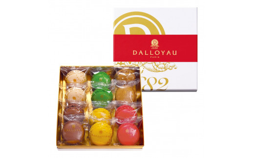 ダロワイヨ　マカロン詰め合わせ（12個入）