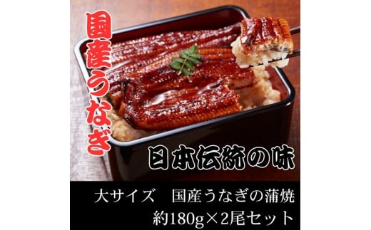 国産うなぎ蒲焼 大サイズ 約180g×2尾セット