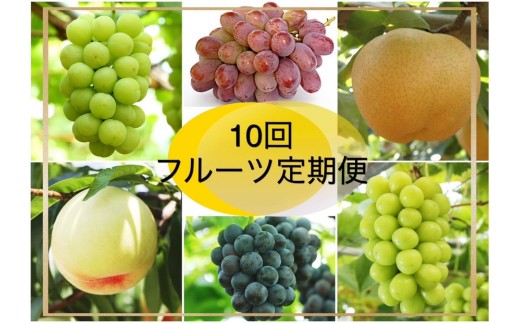 【2026年発送】岡山県産　フルーツ定期便10回コース