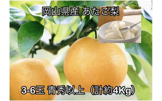 【2026年発送】岡山県産 あたご梨 3～6玉 青秀以上 (計約4.0kg)化粧箱入り