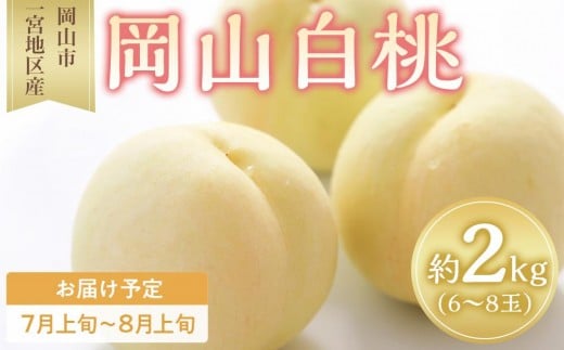 桃 2026年 岡山 白桃 6~8玉入 約2.0kg 岡山市一宮地区産 もも モモ フルーツ 果物 ギフト