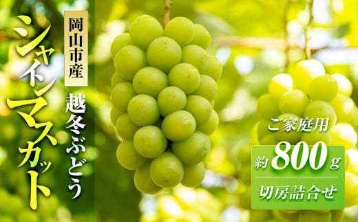五果苑 越冬ぶどう【ご家庭用】 シャインマスカット 切房詰め合わせ 約800g | フルーツ 果物 くだもの シャインマスカット マスカット 岡山県産 国産 ご家庭用 シャインマスカット マスカット フルーツ 果物 くだもの シャインマスカット マスカット