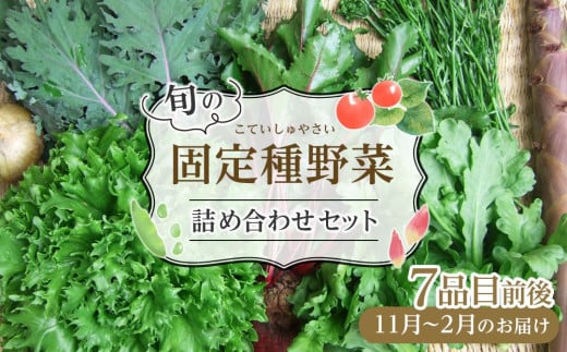 野菜 2025年 旬の固定種野菜 バイオダイナミック農業 7品目前後（11月～2月のお届け）常温配送