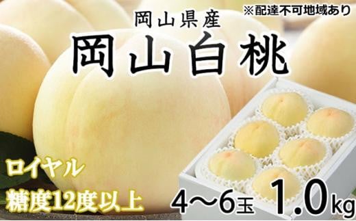 桃 2026年 岡山 白桃 ロイヤル 4~6玉 約1kg JAおかやまのもも(早生種・中生種) もも モモ 岡山県産 国産 フルーツ 果物 ギフト