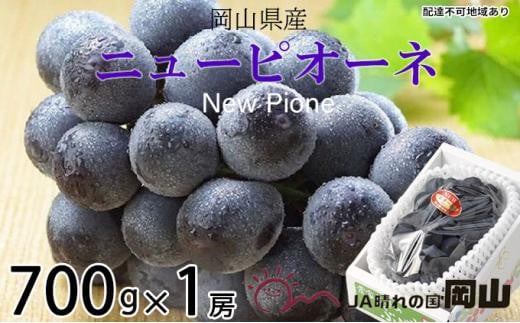 ぶどう 2026年  ニュー ピオーネ 約700g×1房 ブドウ 葡萄  岡山県産 国産 フルーツ 果物 ギフト