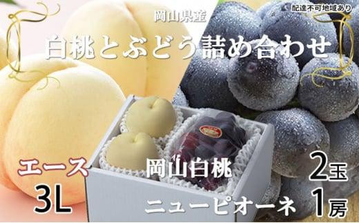 桃 ぶどう 2026年 岡山 白桃 エース 2玉×約300g(3Lサイズ、早生種・中生種)ニュー ピオーネ 1房約600g 詰め合わせ 岡山県産 フルーツ