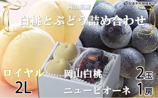 桃 ぶどう 2026年 岡山 白桃 ロイヤル 2玉×約250g(2Lサイズ、早生種・中生種)ニュー ピオーネ 1房約500g 詰め合わせ 岡山県産 フルーツ