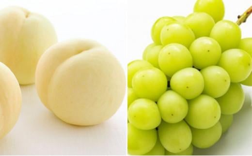 フルーツ 2026年 晴れの国 岡山 の フルーツ 定期便 6回コース 桃 ぶどう 梨 岡山県産 国産 フルーツ 果物 ギフト