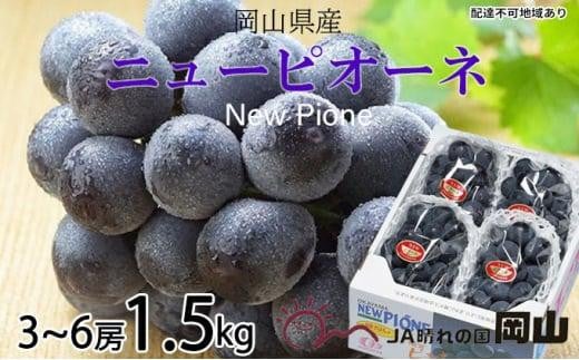 ぶどう 2026年  ニュー ピオーネ 3房~6房 約1.5kg ブドウ 葡萄  岡山県産 国産 フルーツ 果物 ギフト