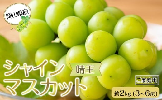 岡山県産 ぶどう 2025年発送 ご家庭用 シャインマスカット 晴王 約2kg(3~6房)|フルーツ 果物 くだもの ぶどう ブドウ シャインマスカット 晴王 ご家庭用 国産 岡山県産 食品 人気 おすすめ  送料無料 ギフト 贈り物 贈答品 プレゼント 果物 くだもの フルーツ ぶどう ブドウ シャインマスカット 晴王