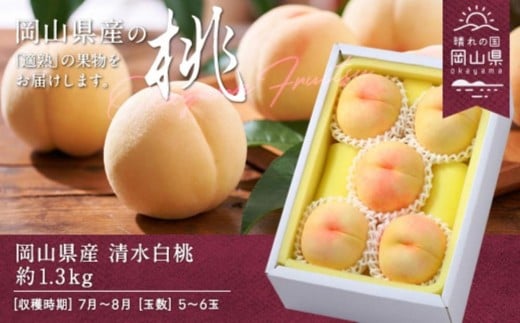桃 2026年 岡山県産 清水白桃 約1.3kg 5~6玉(クール便)【清水白桃 白桃 桃 もも 果物 フルーツ 新鮮 岡山県産 おすすめ 人気 ギフト 岡山県 岡山市】