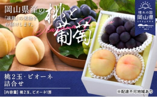 桃 ぶどう 2026年 桃2玉・ピオーネ1房 詰合せ(クール便)|フルーツ 果物 くだもの もも ぶどう モモ ブドウ 桃 葡萄 ピュオーネ 2玉 1房 人気 おすすめ   送料無料 ギフト 贈り物 贈答品 プレゼント もも ぶどう ピオーネ