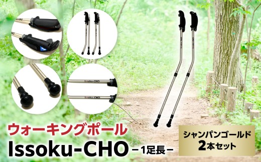 ウォーキング Issoku-CHO（1足長） シャンパンゴールド 2本セット 大分県 大分市 2本セット ウォーキング 歩く 賞 受賞 日用品 歩行補助 杖 R17013