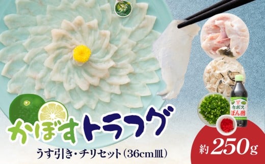 かぼすトラフグ うす引き・チリセット（36cm皿）【12月～2月までお届け】 ふぐ フグ ふぐ刺し 薄引き ふぐちり ちり鍋 かぼす トラフグ 河豚 お祝い 記念日 カボスポン酢 アラ  E05028