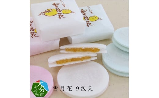 雪月花9包入 大分 和菓子 柚子 おやつ 銘菓 お土産 常温 餅米 ゆずあん 和菓子 ギフト J09006