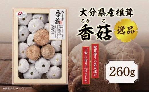 大分県産椎茸　香菇　逸品　IP-B しいたけ 大分県 高級 上こうこ 肉厚 料理 煮物 炒め物 化粧箱入り 贈答用 常温 F07020