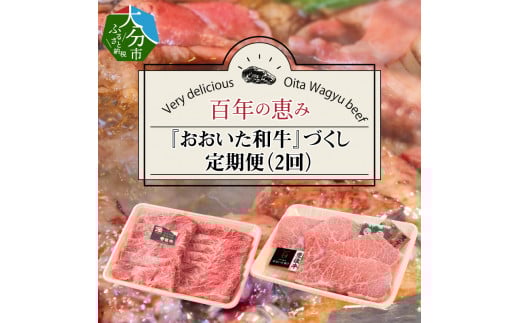 百年の恵み『おおいた和牛』づくし定期便（2回） 大分県 和牛 定期便 お肉 豊後牛 ブランド牛 バーベキュー キャンプ 焼肉 黒毛和牛 T10005