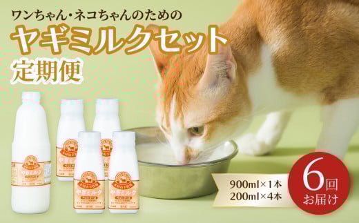 【定期便】ワンちゃん・ネコちゃんの為のヤギミルクセット 900ml×1本、200ml×4本（6回お届け）ペットフード 栄養補給 犬 猫 ペット 国産 ヤギ乳 小動物 セット 高タンパク 低脂肪 T10034