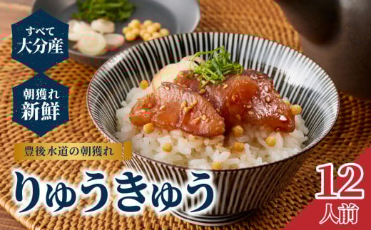 豊後水道の朝獲れ　りゅうきゅう　【12人前】 りゅうきゅう 大分県 新鮮 刺身 海鮮 漬け 漬け丼 豊後 朝獲れ 郷土料理 E22030