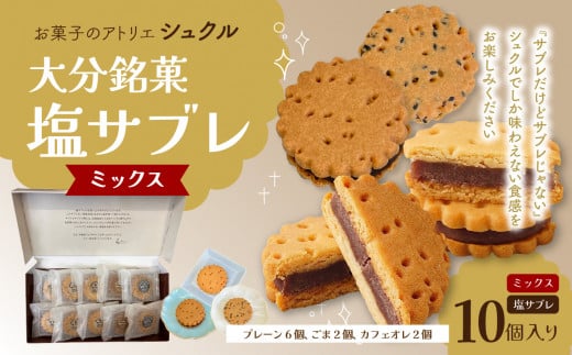 大分銘菓 塩サブレ ミックス 10個入り 菓子 おやつ 贈り物 バター 塩 手土産 お土産 ギフト あんこサンド なずなの塩 J01035