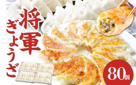 将軍ぎょうざ 80個 (20個×4箱)  豚肉 ブランド豚 米の恵み 九州産 野菜 冷凍餃子 ギョーザ 簡単調理 人気 中華 A02031