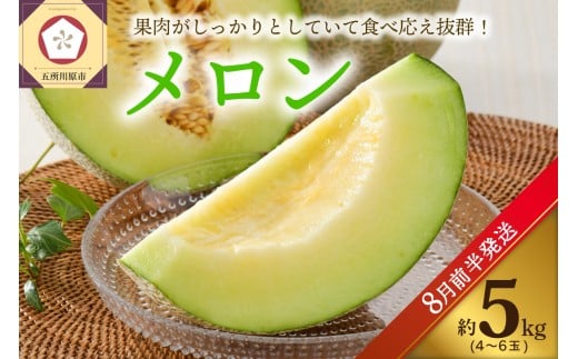 【2026年8月前半発送】メロン5kg程度(緑肉4～6玉)津軽産