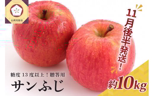 【2025年11月後半発送】 りんご 約10kg サンふじ 青森産 糖度 13度以上 贈答用 特選~特秀
